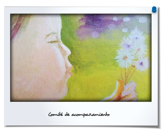 Desde el Comité de acompañamiento