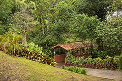 Galería de fotos de colegio