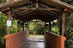 Galería de fotos de colegio