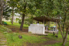 Galería de fotos de colegio