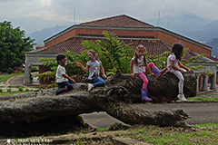 Galería primer septenio