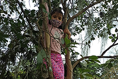 Galería primer septenio