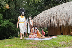 Galería segundo septenio