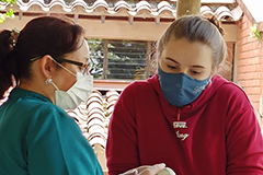 Galería tercer septenio