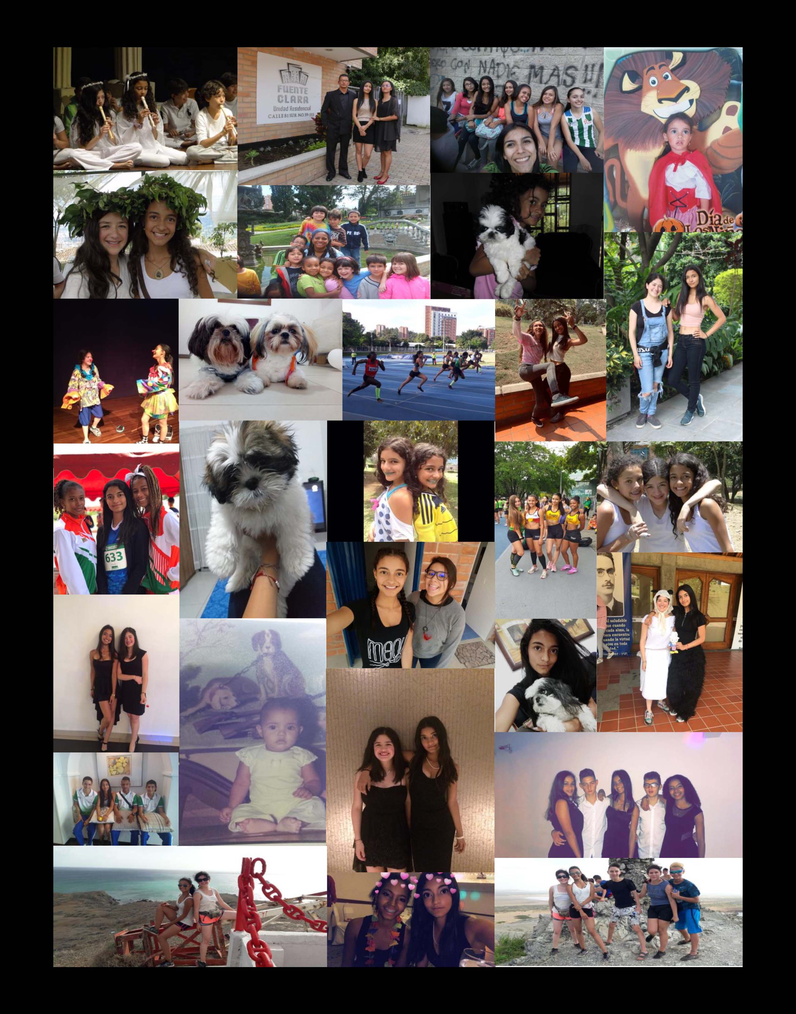 Imagen Collage