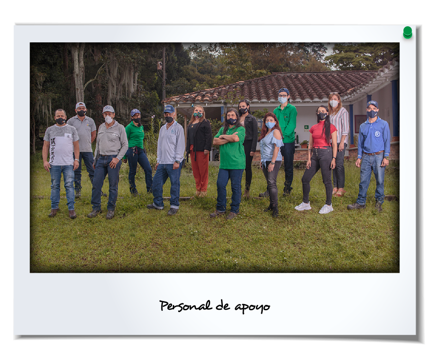 Grupo administrativo