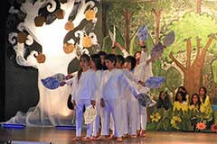 Grado cuarto. Once 2020