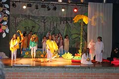 Grado cuarto. Once 2020