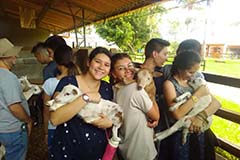 Grado noveno. Once 2020