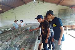 Grado noveno. Once 2020