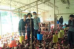 Grado noveno. Once 2020