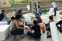 Grado octavo. Once 2020