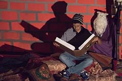 Grado octavo. Once 2020