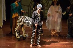 Grado octavo. Once 2020