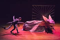 Grado octavo. Once 2020