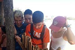 Grado octavo. Once 2020