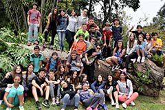 Grado septimo. Once 2020