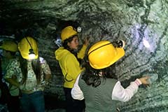 Grado sexto. Once 2020