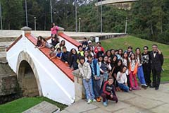 Grado sexto. Once 2020