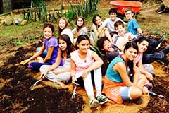 Grado sexto. Once 2020