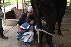 Grado tercero. Once 2020