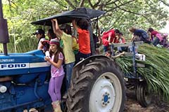 Grado tercero. Once 2020