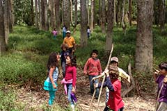 Grado tercero. Once 2020