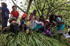 Grado tercero. Once 2020