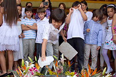 Grado tercero. Once 2020