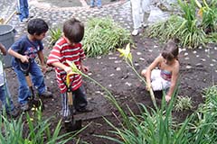 Vivencias maternal y prescolar. Once 2020