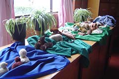 Segundo Septenio. Once 2020