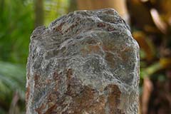 Tercer Septenio. Once 2020