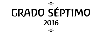 Grado septimo. Once 2020