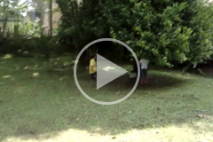 Prescolar. Once 2020